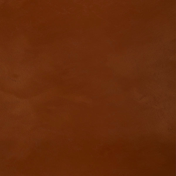 August Grass shared image