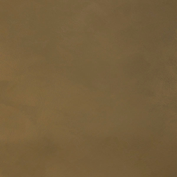 August Grass shared image