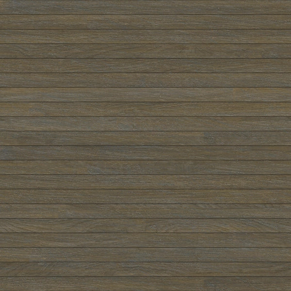 August Grass shared image