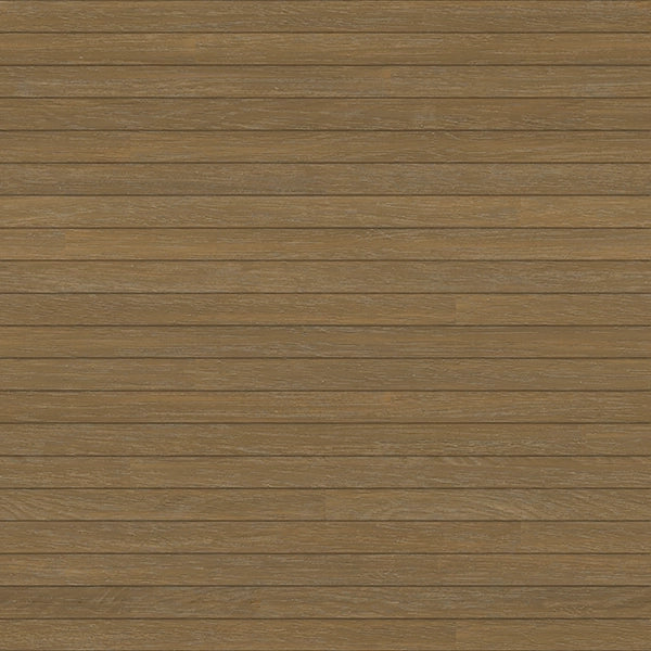 August Grass shared image