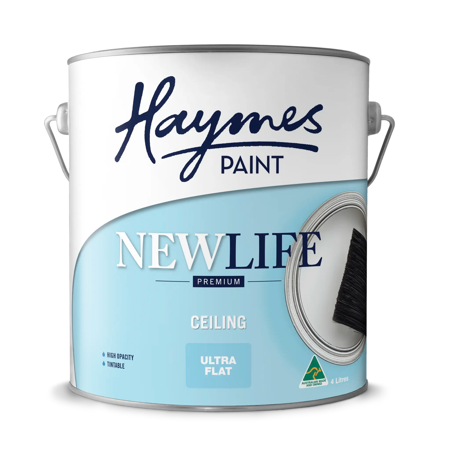 Interior Ceiling Flat