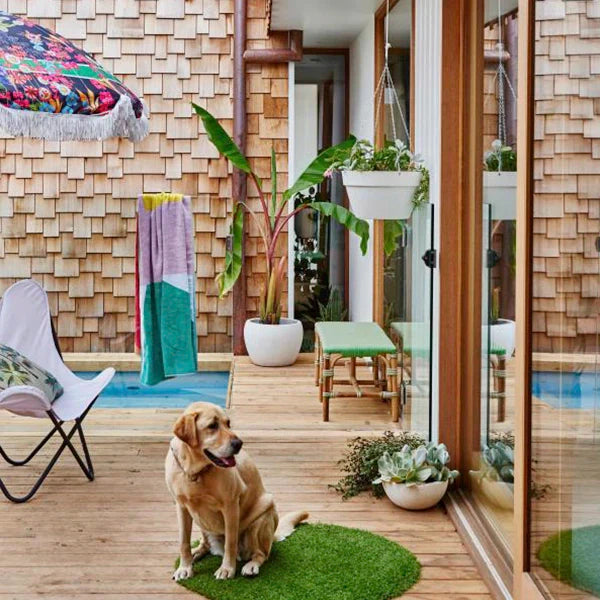 Signs your deck needs some TLC