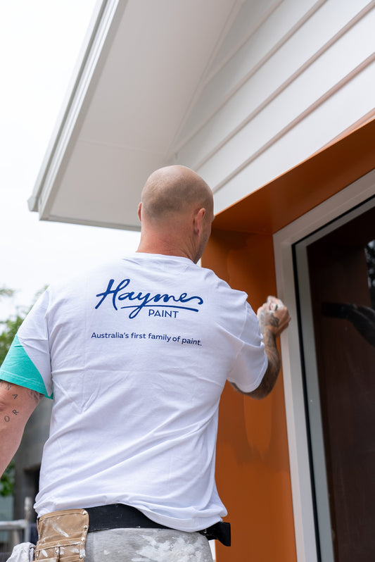 How to Choose the Right Paint to Minimise Painting Time and Project Downtime
