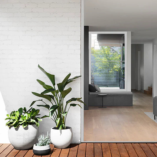 Interior Paint FAQs