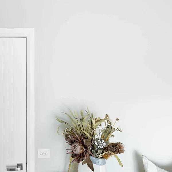 Show Me - How to Paint Doors & Trims