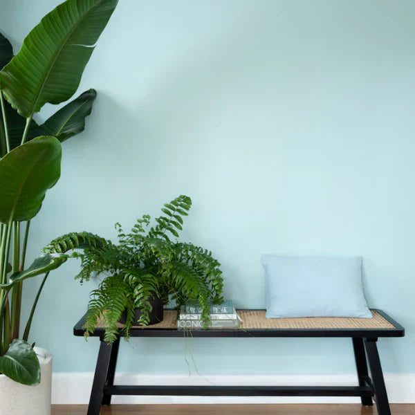 Beach House Colours That Capture the Australian Coastal Lifestyle
