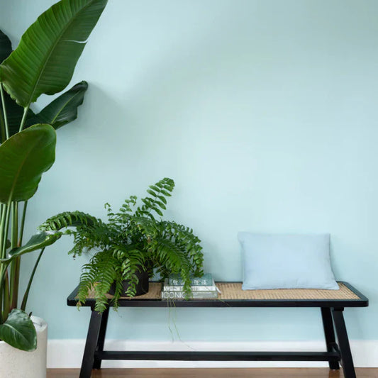 Beach House Colours That Capture the Australian Coastal Lifestyle