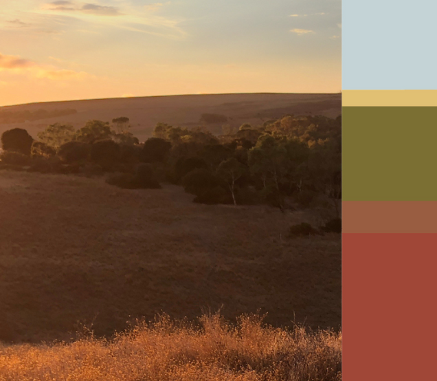Discover Paint Colours That Reflect and Enhance Australian Living