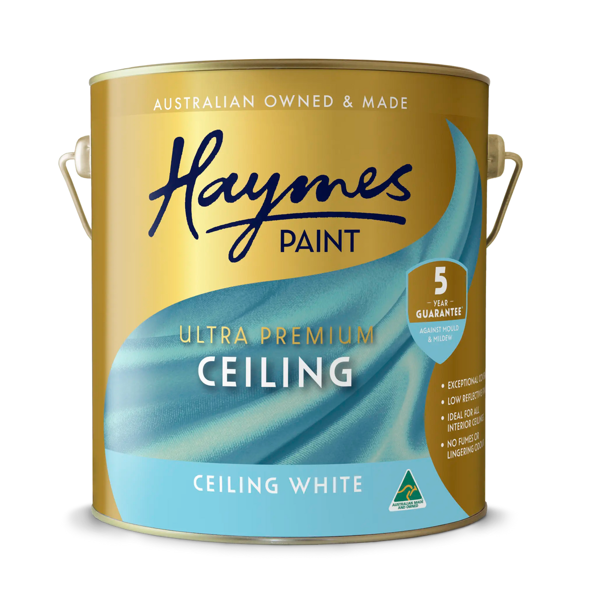 Interior Ceiling Flat