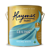 Interior Ceiling Flat