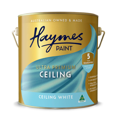 Interior Ceiling Flat