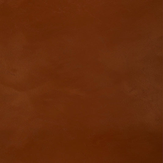 August Grass shared image