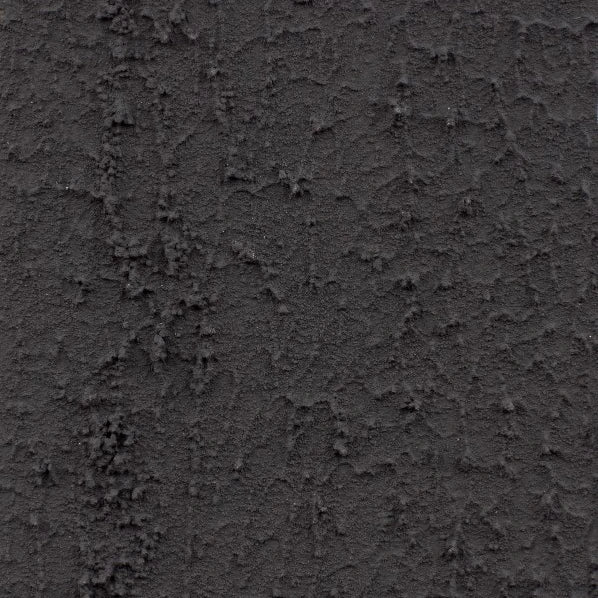 August Grass shared image