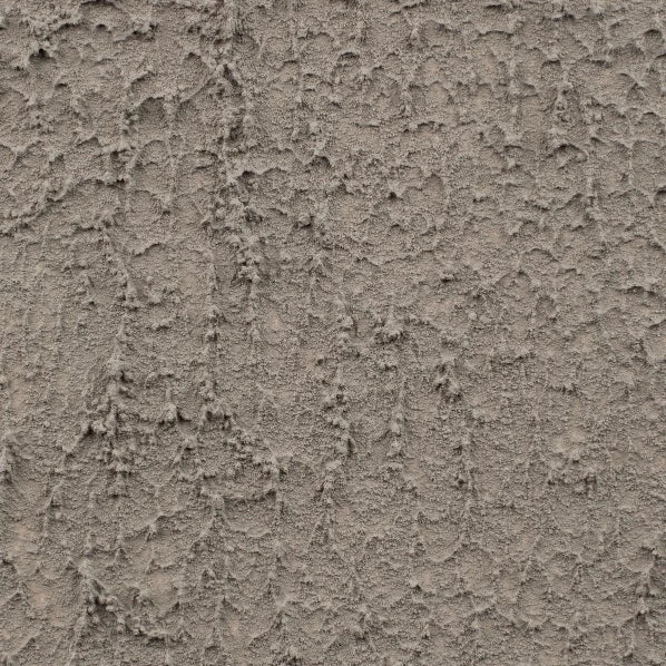 August Grass shared image