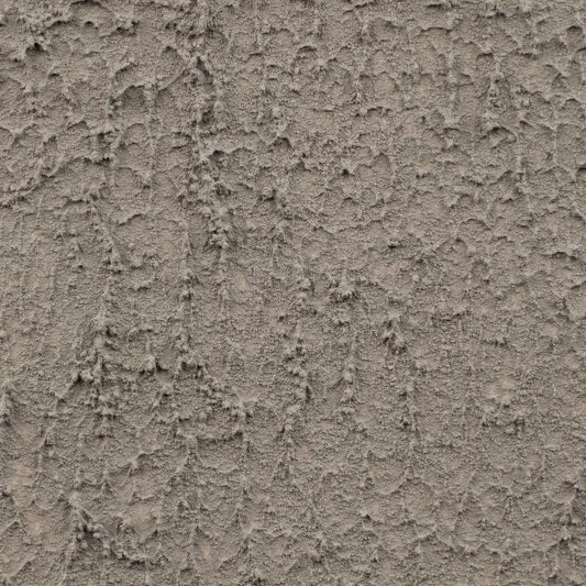 August Grass shared image