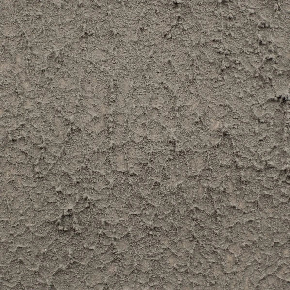 August Grass shared image