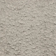 Roughcast