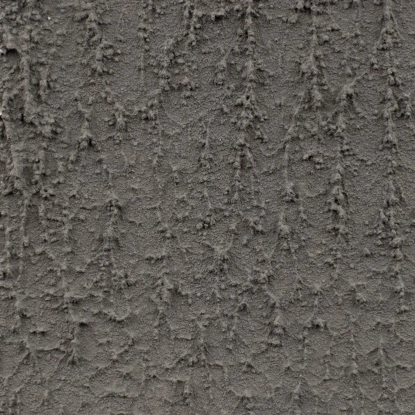 August Grass shared image