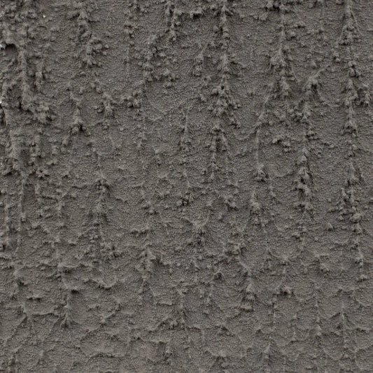 August Grass shared image