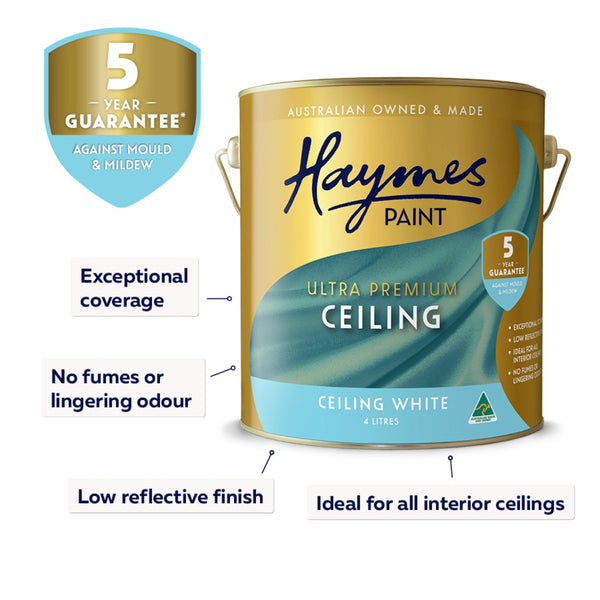 Interior Ceiling Flat