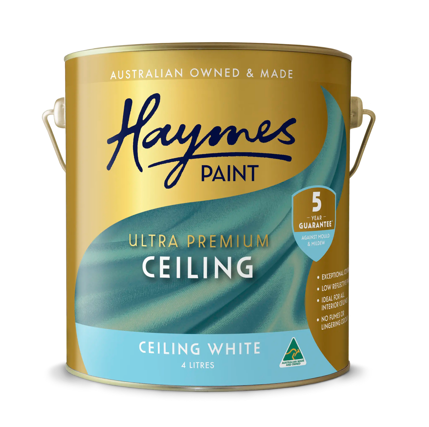 Interior Ceiling Flat