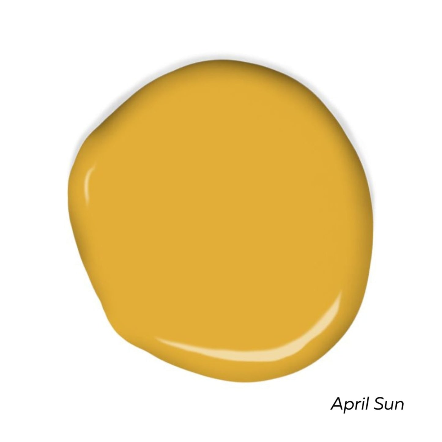 Sunny Side Swatch Pack