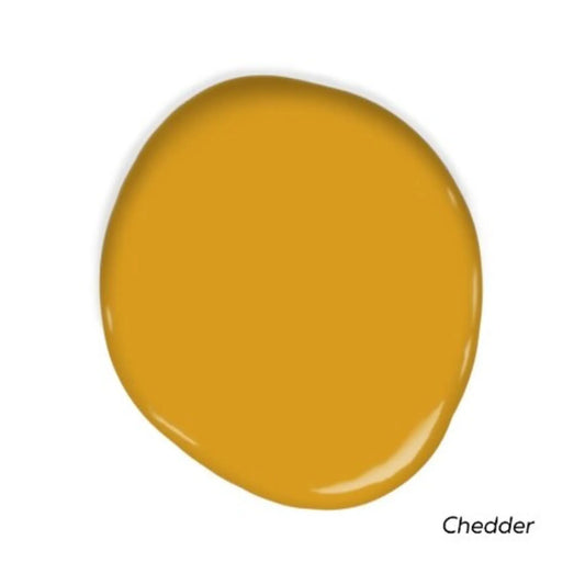 Front Door Palette Swatch Pack