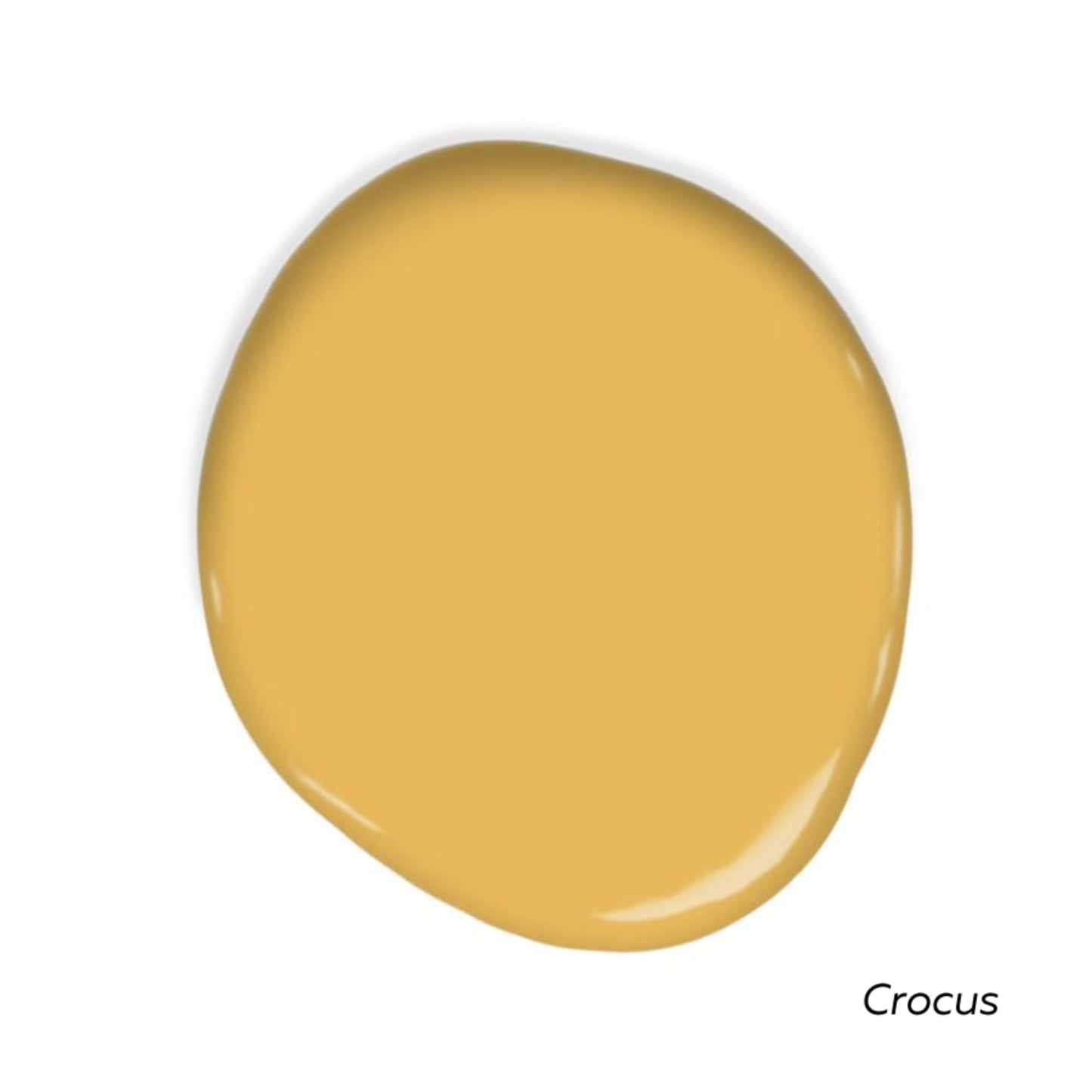 Sunny Side Swatch Pack