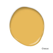 Sunny Side Swatch Pack