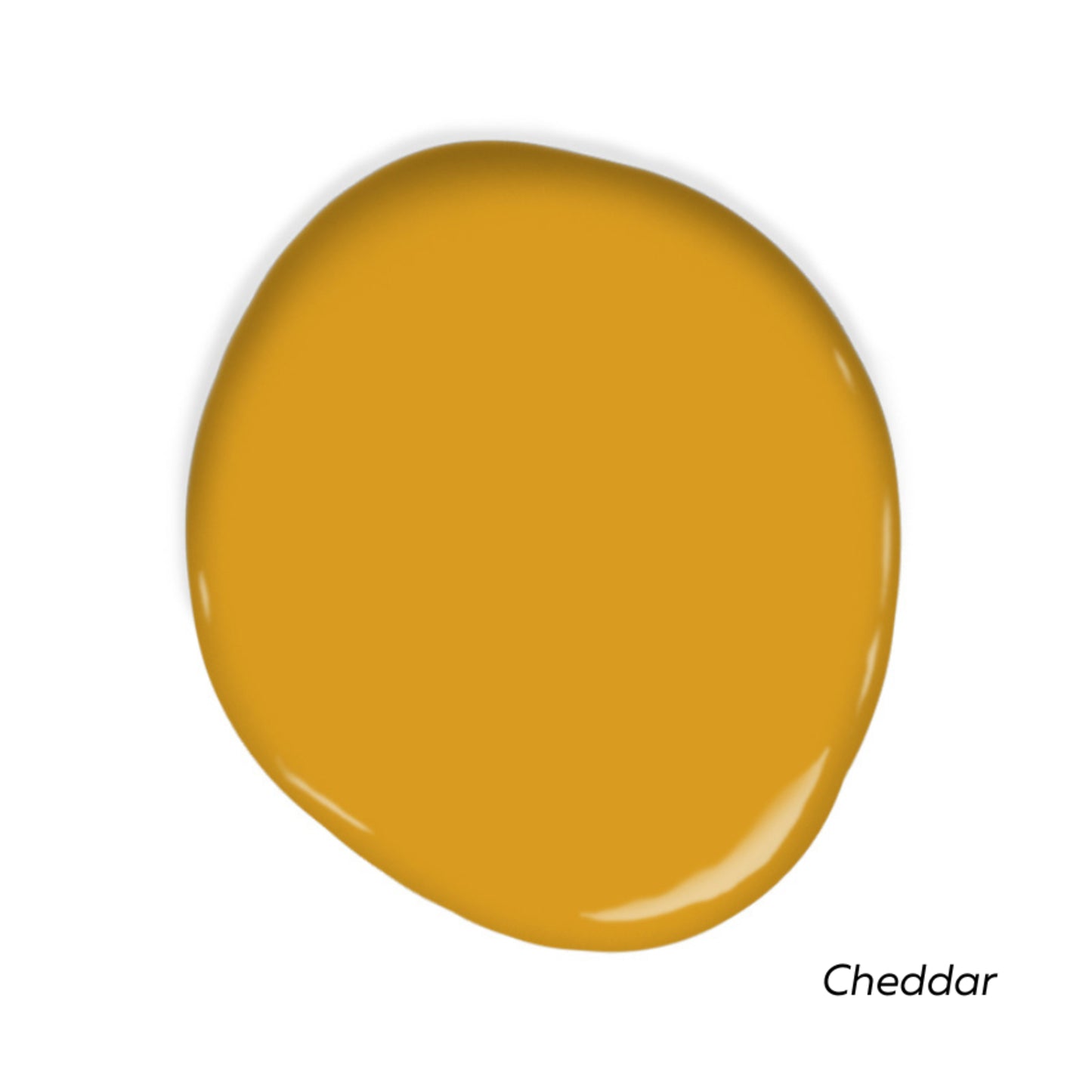 Front Door Palette Swatch Pack