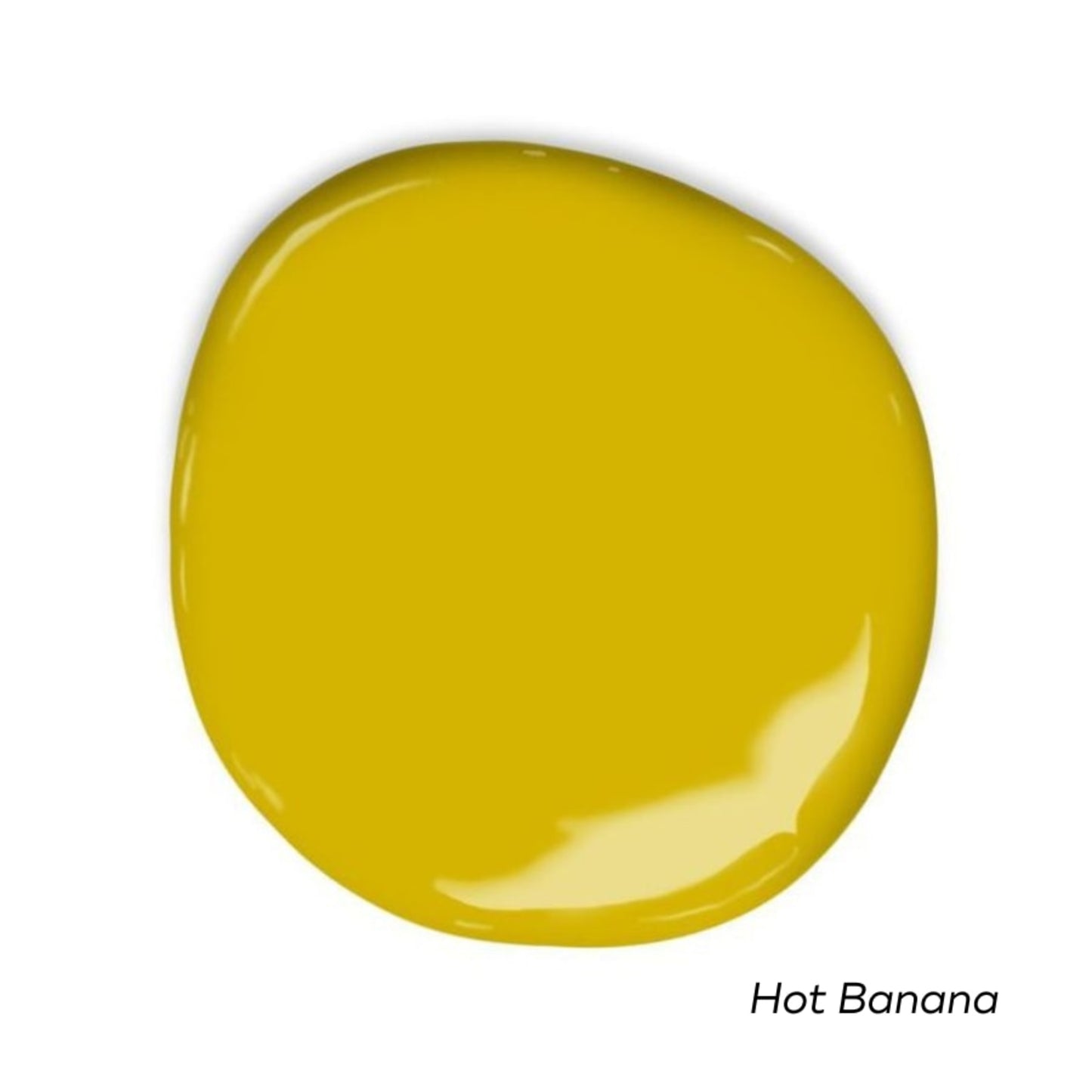 Sunny Side Swatch Pack