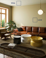 Sandstones Swatch Pack